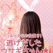 「逃げだしたウサギちゃん☆」10/19(金) 14:19 | パッション祇園店のお得なニュース