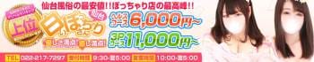 白いぽっちゃりさん 仙台店