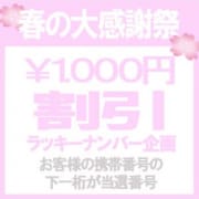 「春の大感謝祭」05/21(火) 16:56 | 艶女~アデージョ~のお得なニュース