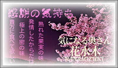 「一番人気のある90分をさらに！感謝の気持ちです♪」04/24(水) 07:50 | 花水木-HANAMIZUKI-のお得なニュース