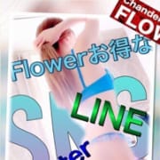 SNSでも横須賀エリアNo１☆|Flower（フラワー）
