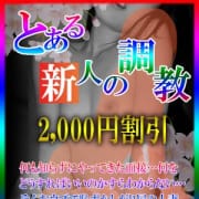 「とある新人の調教!!2000円割引!!貴方色に染めてあげて♪」04/22(日) 18:06 | とある人妻のデリヘルのお得なニュース