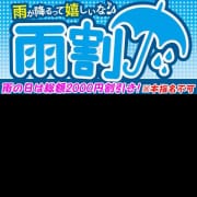 「雨割！！」04/26(金) 11:04 | おねだり！ココナッツのお得なニュース