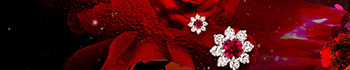 Red Sapphire(レッドサファイア)