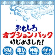 おもしろオプションパックはじめました！|土浦人妻花壇