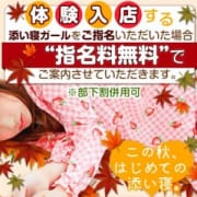 「明るくセクシーな女の子、体験入店♪」10/23(火) 00:51 | 秋葉原添い寝女子のお得なニュース