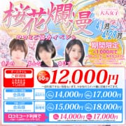 「★4月開催イベント★桜花爛漫」04/26(金) 14:47 | チェックイン素人専門大人女子のお得なニュース