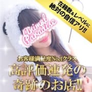 「五反田界隈コスパNo.1店舗...夜の五反田の王様はアニパラだ!!」04/27(金) 09:15 | アニマルパラダイスのお得なニュース