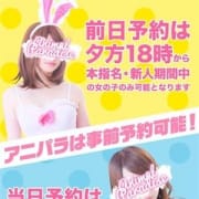「出勤前からも、前日からも予約可能!!!」03/24(日) 15:00 | アニマルパラダイスのお得なニュース