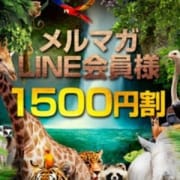 「メルマガ会員、LINE会員は1500円オフ!!」10/26(月) 23:24 | アニマルパラダイスのお得なニュース