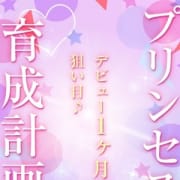 「入店1ヶ月未満の女の子は指名料が無料!」07/02(木) 15:15 | プリンセスセレクション南大阪のお得なニュース