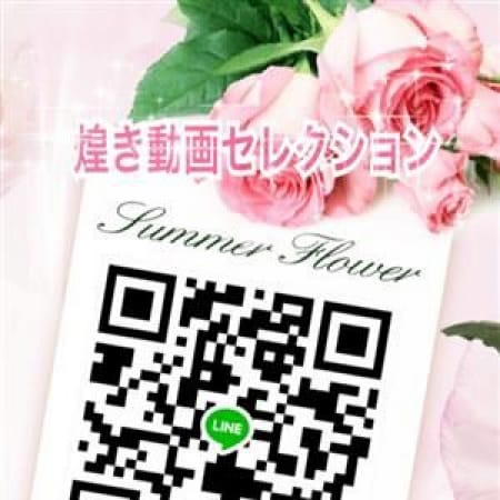 「電話番号orSNS登録で入会金(¥5,000)無料!!」09/26(火) 03:45 | 煌き~動画SELECTION~新宿店のお得なニュース