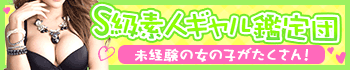 S級鑑定団