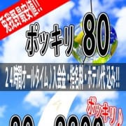 「夏の恒例イベント【ポッキリ80】8800円ポッキリ♪」07/09(木) 02:56 | 大阪♂風俗の神様 梅田兎我野店のお得なニュース