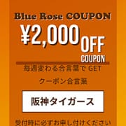 ▼最新ニュース♪|Blue Rose(ブルーローズ) 伊勢・松阪店
