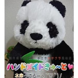 ネ申ってる~staff|宇都宮 - 宇都宮風俗