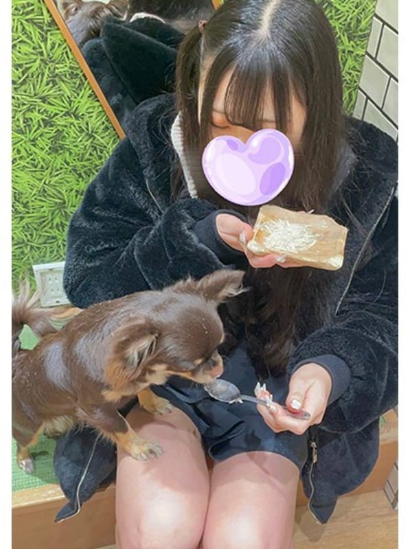 Noa