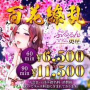 「難波店限定イベント『百花繚乱』　60分　6500円」04/26(金) 15:31 | ぷるるんマダム難波店のお得なニュース