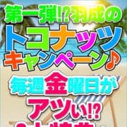 「毎週金曜日開催!第一弾⁉ 羽成のトコナッツキャンペーン♪」07/16(月) 22:05 | 水戸人妻花壇のお得なニュース