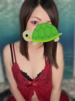 hikari