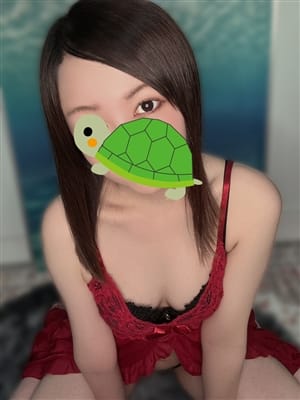 hikari