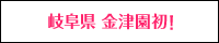 バニーコレクション金津園