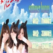 「7月限定イベント『Summer Bunny』開催!」07/20(金) 17:15 | バニーコレクション金津園のお得なニュース