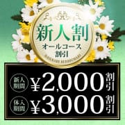 「新人♡体入割　ALLコース最大3,000円割引」 | 春日部人妻城のお得なニュース