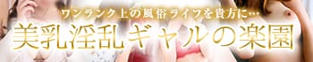 美乳淫乱ギャルの楽園