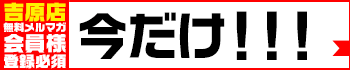 ハピネス東京 吉原店