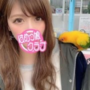 「お得なホテルパックで無制限はめっこ放題!」07/15(水) 07:23 | 無制限はめっ娘クラブのお得なニュース