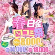 「春の白金口コミ祭 速報ニュース」04/13(火) 01:48 | ドMなバニーちゃん白金・鶴舞店のお得なニュース
