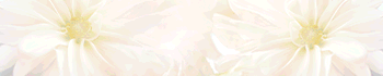 即尺ママ