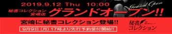 秘書コレクション