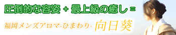 向日葵-ひまわり-