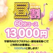 ♦お昼割り♦|【宇部エリア★No.1】Princess Collection《プリコレ》宇部店