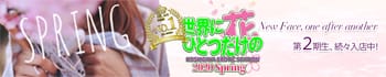 世界にひとつだけの花