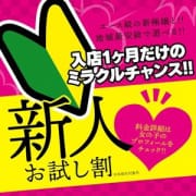 「【絶叫破格】新人お試し割でハッスル!!」11/29(火) 12:19 | ACE(エース)のお得なニュース