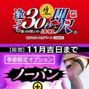 「【季節限定】ノーパン&ガーターストッキング着用待ち合わせ」11/28(日) 03:12 | 逢って30秒で即尺 大阪店のお得なニュース