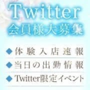 ★☆★Twitter会員様特典★☆★|TAMANEGI 大阪店（タマネギ）
