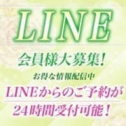 ♡大阪のカワイイが集まるお店♡TAMANEGI♡|TAMANEGI 大阪店（タマネギ）