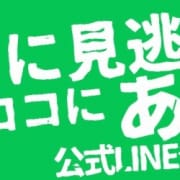 ★絶対に損しない情報を提供します★|アイドルチェッキーナ本店