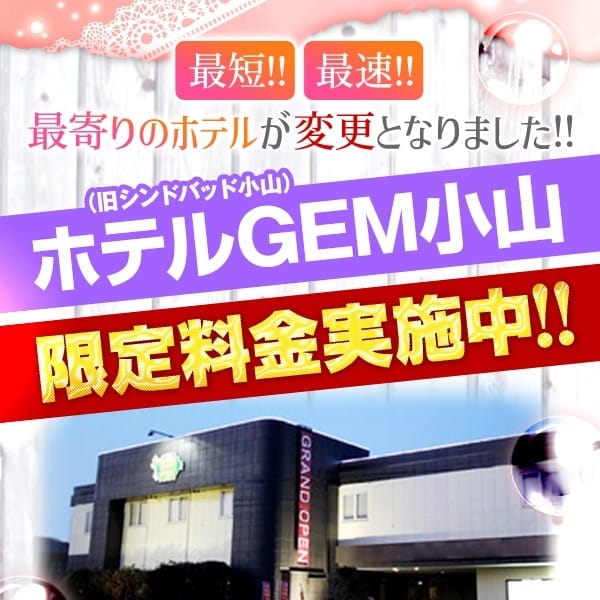 GEM（旧シンドバッド限定料金【GEM限定料金】