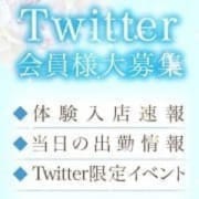 ★☆★Twitter会員様特典★☆★|TAMANEGI和歌山店(タマネギ)