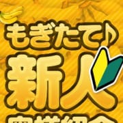 「◇もぎたてばなな新人コース◇お味見価格でご案内！」07/26(金) 20:32 | 完熟ばなな 札幌・すすきの店のお得なニュース