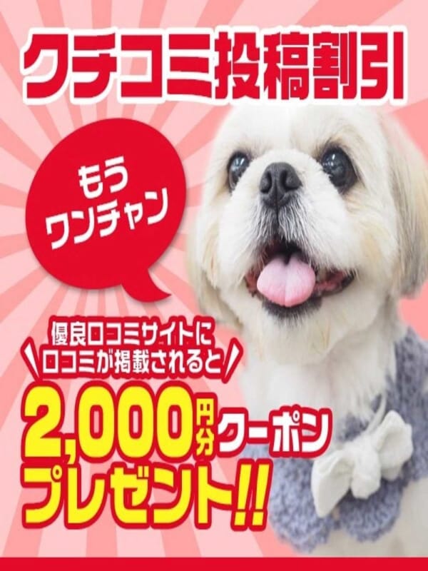 口コミ割引2000ポイント！