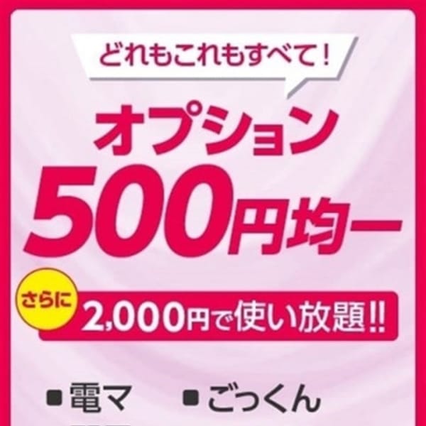 オプション500円均一