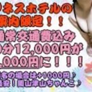 ☆★☆ビジホプラン♪60分12,000円が10,000円に♪☆★☆|岡山津山ちゃんこ