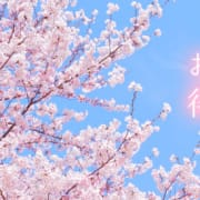 「桜の開花でお得」03/28(木) 09:19 | 川崎小町（川崎ハレ系）のお得なニュース