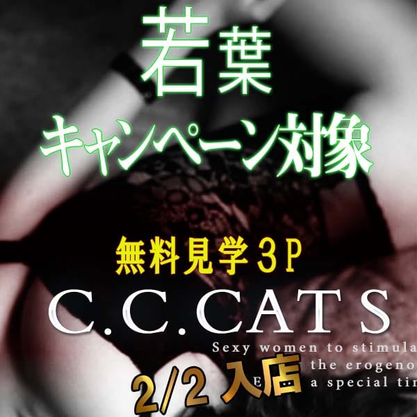 らら | 渋谷フェチM性感C.C.Cats(新宿・歌舞伎町)